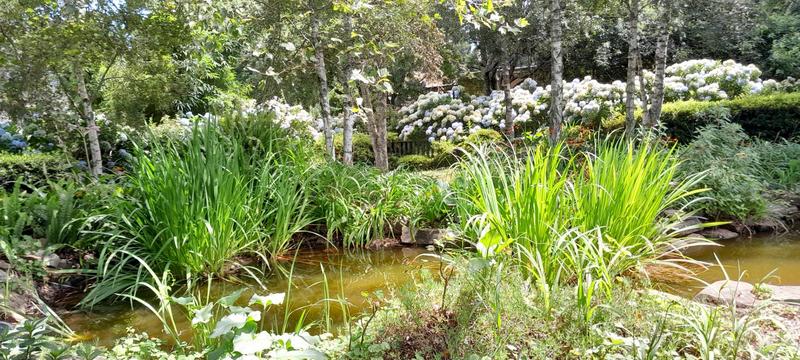 8 Bedroom Property for Sale in Hogsback Eastern Cape